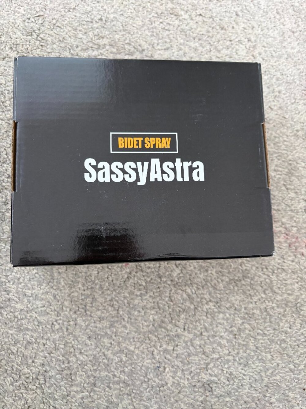 SassyAstra Bidet Sprayer Toilet Spray Kit NEW Bathroom Hygiene